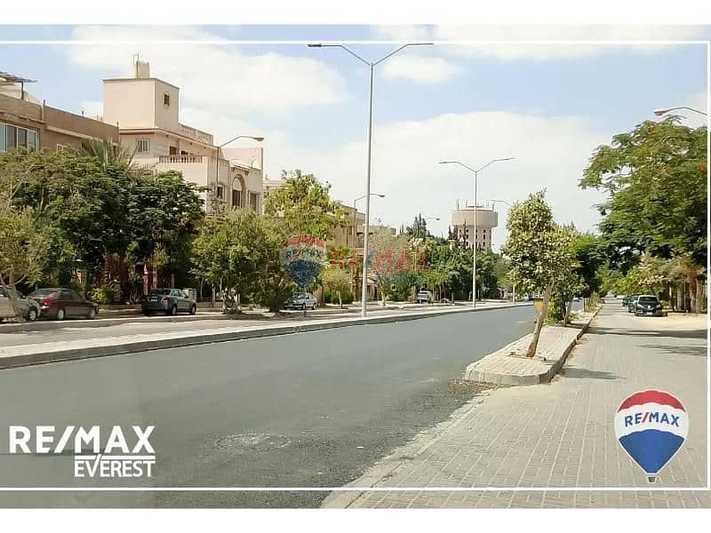 6 8168688-3bd0bo. jpg