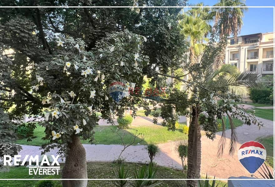 4 72d5669a-5ef5-41d5-a030-b90aaa9ecda5. jpg