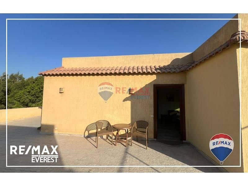 6 cf7fd9ef-c70c-4da9-9563-9729cb2f0d2b. jfif. jpg