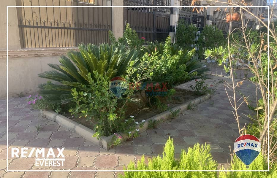 2 WhatsApp Image 2025-06-18 at 11.43. 38 AM. jpeg