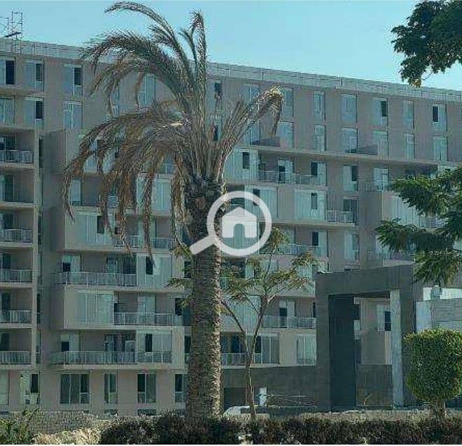 2 Screenshot 2025-11-11 124535. jpg