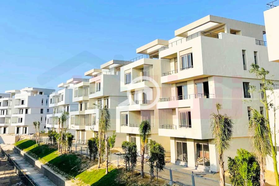 12 WhatsApp Image 2024-12-06 at 3.47. 21 AM (1). jpg