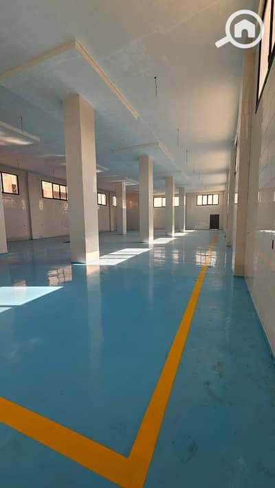 مصنع للبيع في العاشر من رمضان، الشرقية - IMG-20251111-WA0059. jpg مصنع للبيع في العاشر من رمضان، الشرقية - IMG-20251111-WA0059. jpg