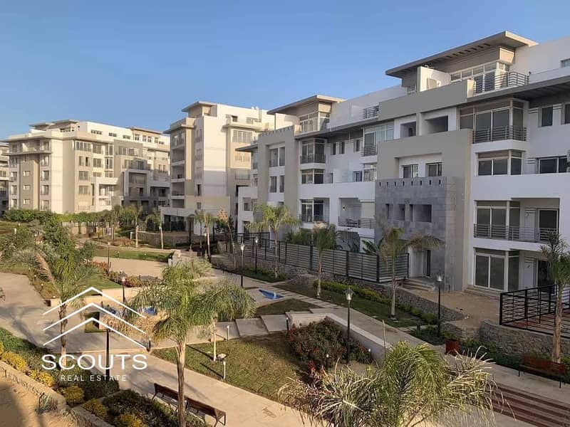 12 481207648_556373650788731_8729196330997164665_n. jpg