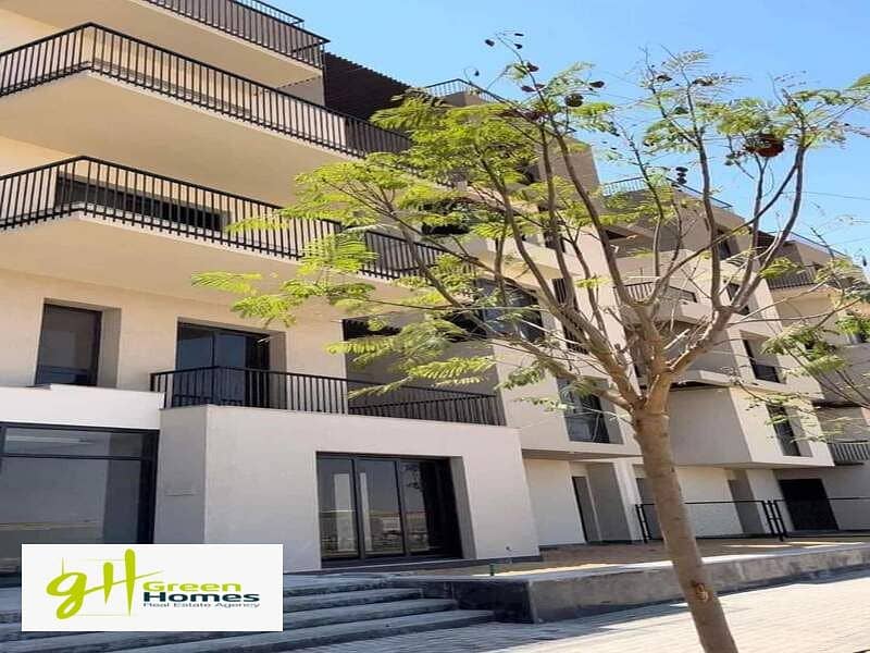 12 WhatsApp Image 2024-04-08 at 12.23. 18 AM. jpeg