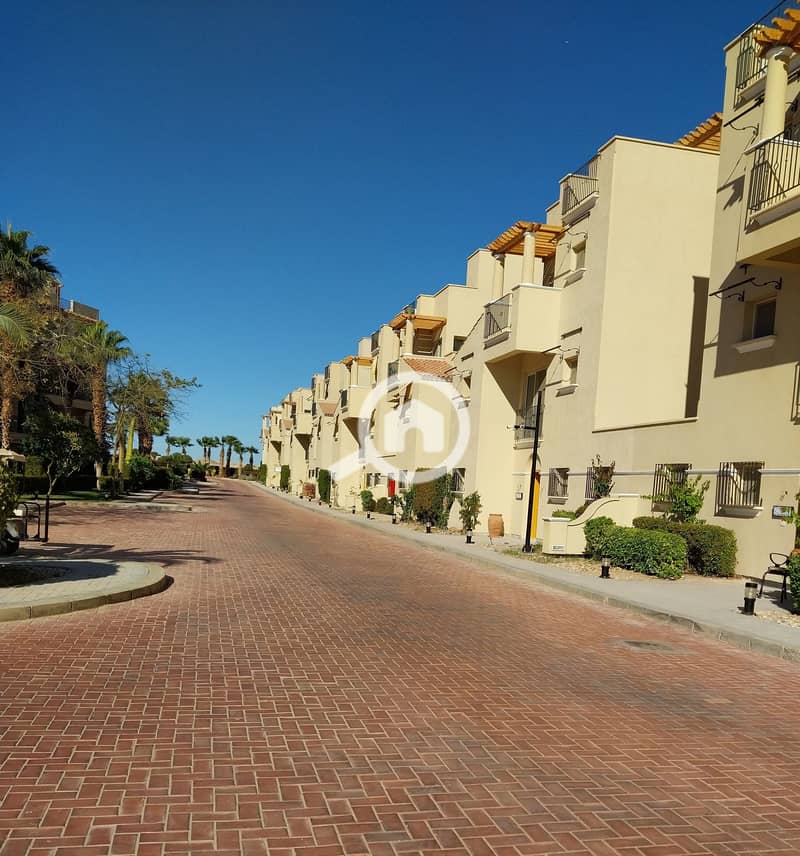 5 20240130_143553. jpg