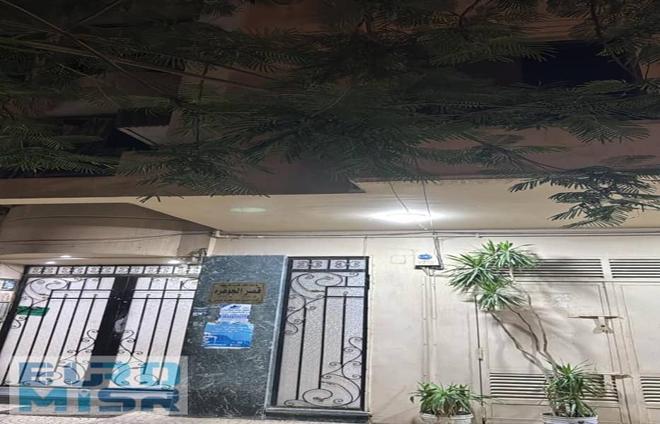 2 WhatsApp Image 2025-11-11 at 12.10. 43 PM. jpeg