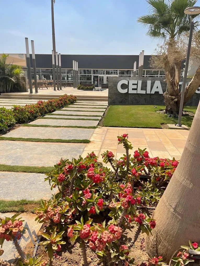 3 WhatsApp Image 2025-11-09 at 11.07. 49 AM. jpeg