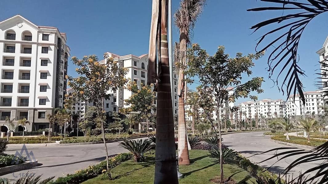 6 WhatsApp Image 2025-11-09 at 11.08. 00 AM. jpeg