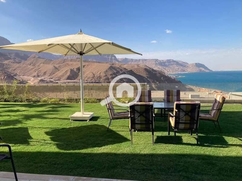 3 560152722_122126606684959419_8528169145247299648_n. jpg