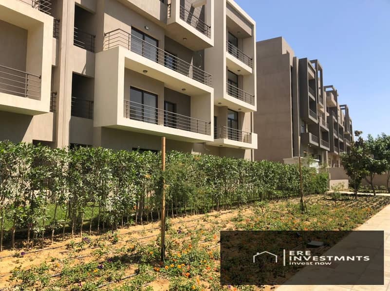 4 21fcc0c9-0a10-451e-98d9-d3a6dfa80198. jpg