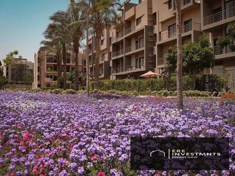 12 b3139ac5-960e-48ff-bff4-ee95b9b45403. jfif. jpg