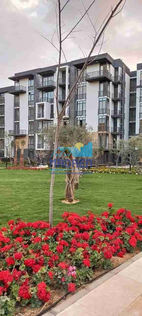 7 FB_IMG_1727778699363. jpg