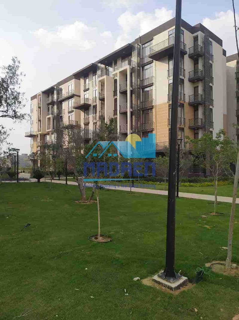 8 FB_IMG_1727706211579. jpg