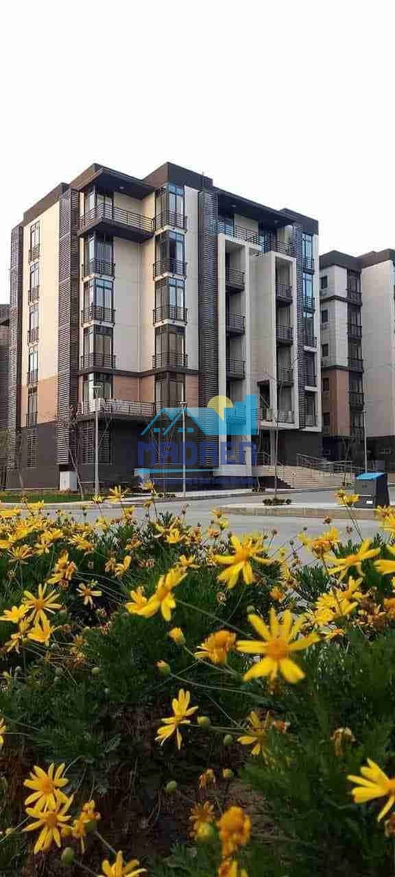 9 FB_IMG_1727778701600. jpg