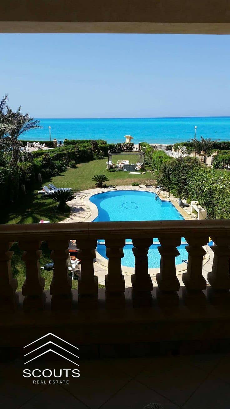 ed2f86aa-1f42-4e39-9308-9803bf7f450d. jpeg