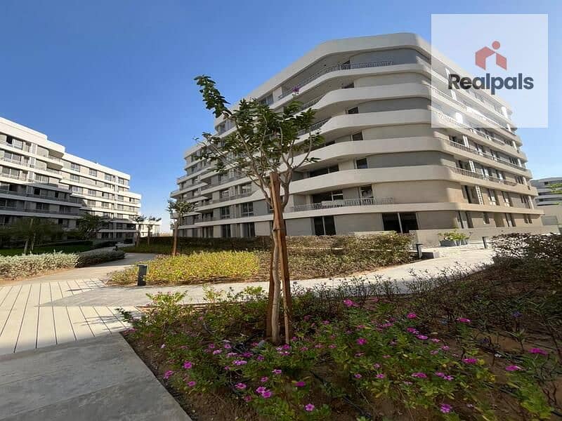 8 IMG-20251111-WA0010. jpg