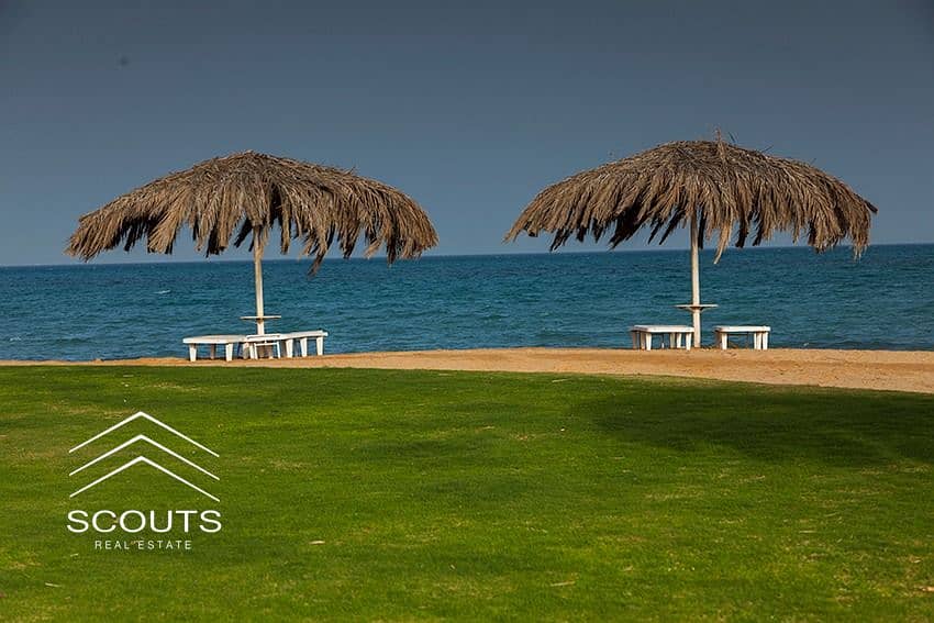 10 WhatsApp Image 2024-04-20 at 4.47. 29 PM. jpeg