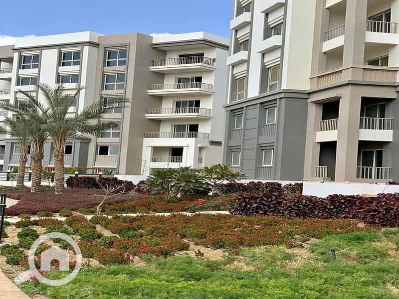 4 380365227_6590716847688078_6913054951102456083_n. jpg