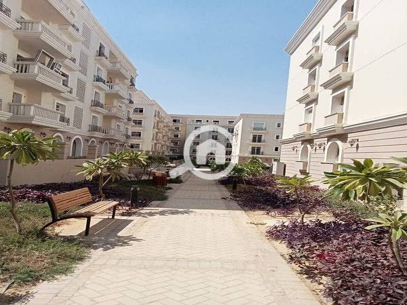 6 381472317_177910938670707_9204728116177612902_n. jpg