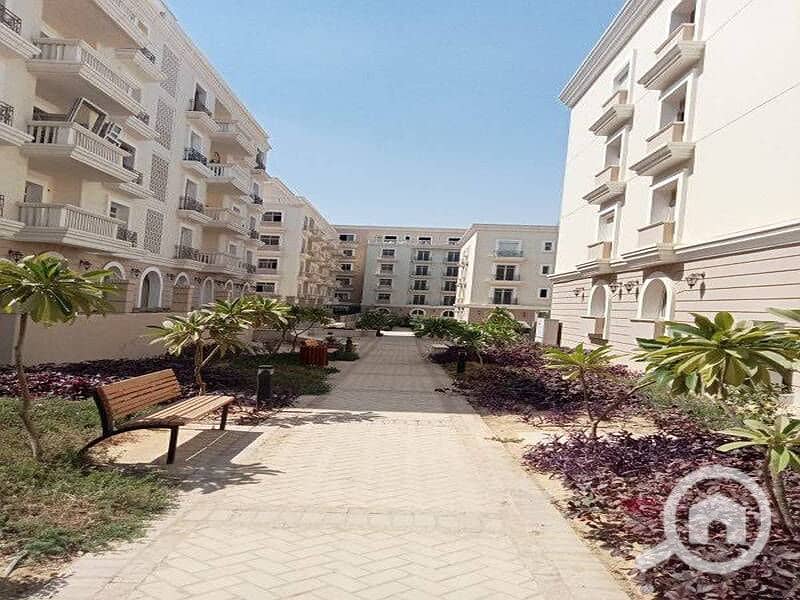 6 381472317_177910938670707_9204728116177612902_n. jpg