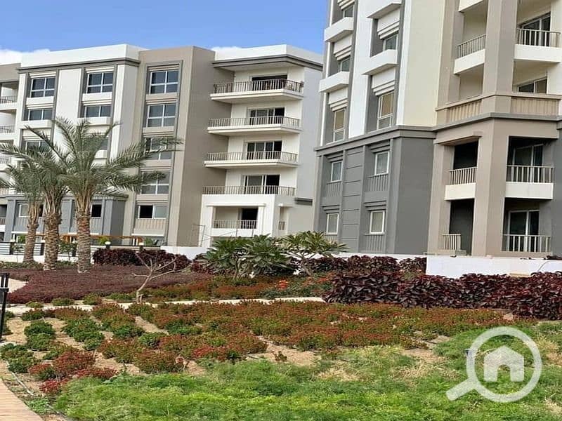 4 380365227_6590716847688078_6913054951102456083_n. jpg