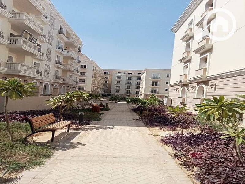 6 381472317_177910938670707_9204728116177612902_n. jpg