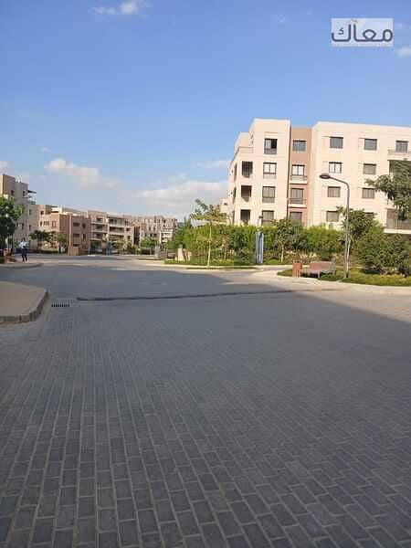 6 750e951a-f69c-4dd6-8e7c-7d897823619b. jpeg