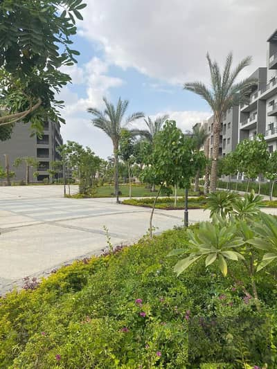 2 Bedroom Apartment for Sale in Sheraton, Cairo - WhatsApp Image 2025-11-11 at 2.06. 04 PM (1). jpeg