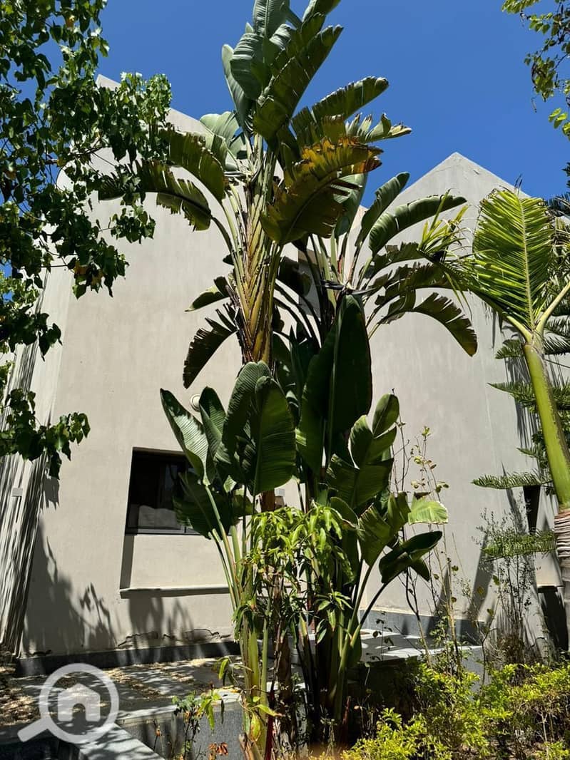 6 ef2ec8a2-c43d-4fd4-8284-b04feb350d8b. jpg