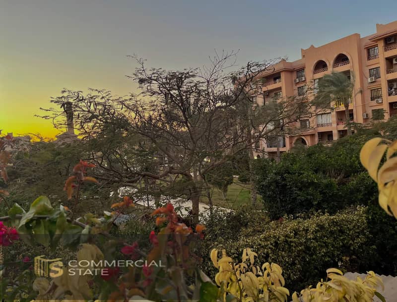 17 WhatsApp Image 2025-11-09 at 18.32. 53_203eaa5a. jpg