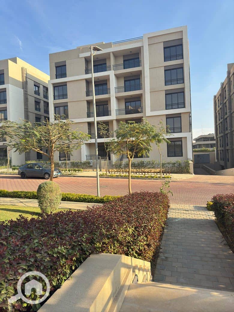 6 547378759_122205037136050752_4549600984819149416_n. jpg