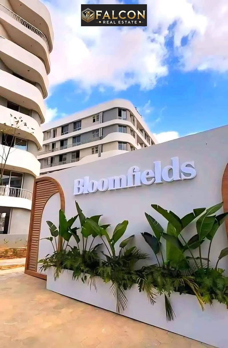 11 562987649_122179173890453474_4360420145705817262_n. jpg