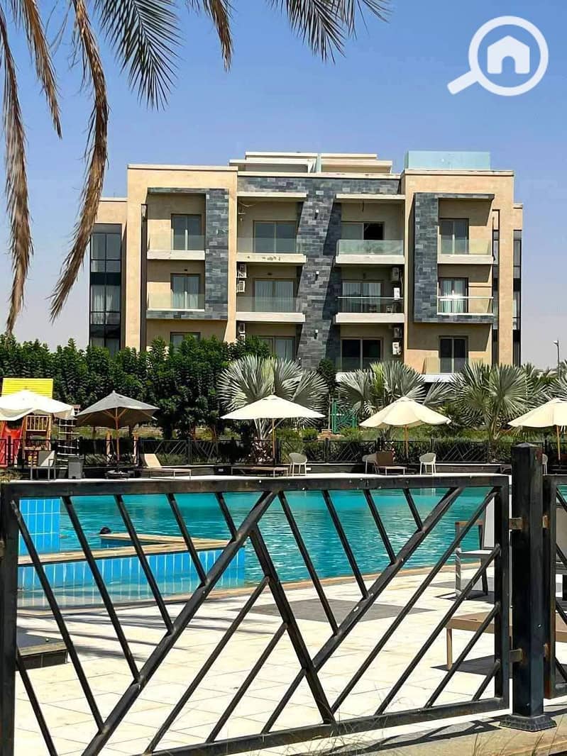 547379365_122184342458454983_4096479456626186058_n. jpg