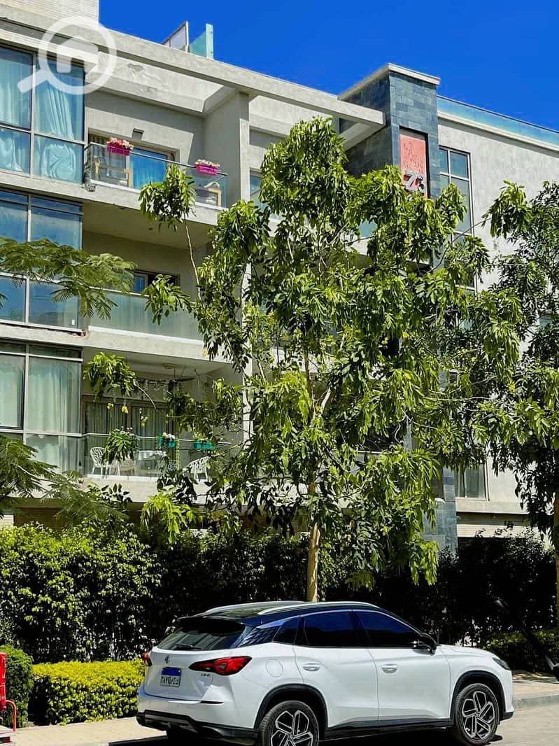 11 539307792_122181420596454983_2645772438262711992_n. jpg