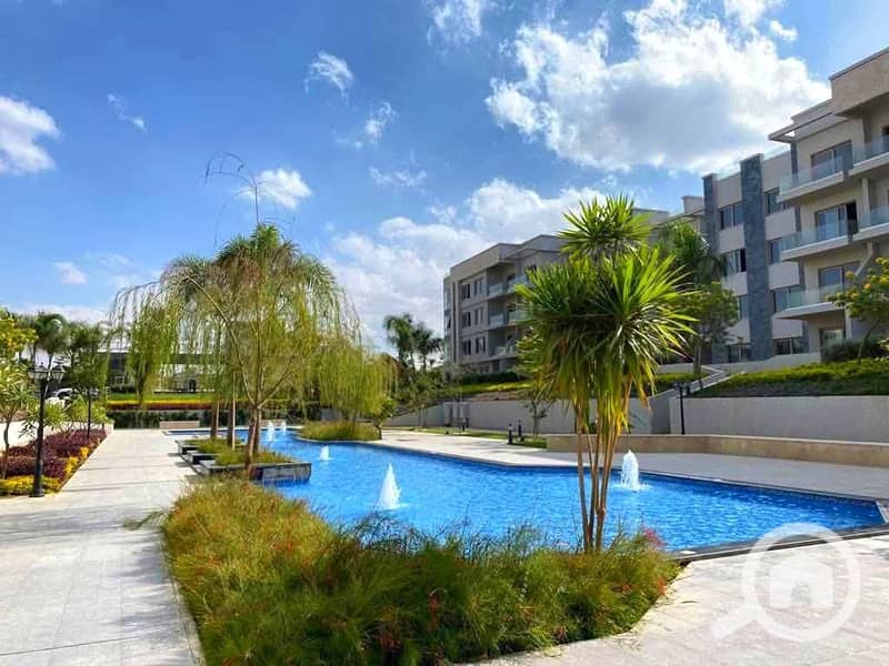 14 555660678_122186531978454983_6115069066785602909_n. jpg