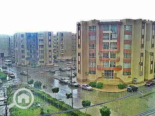 1000120192. jpg 1000120192. jpg