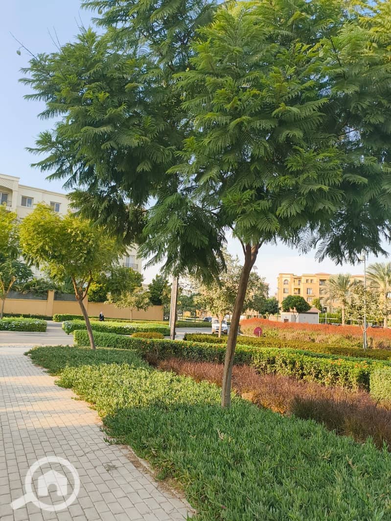 6 IMG-20251111-WA0022. jpg