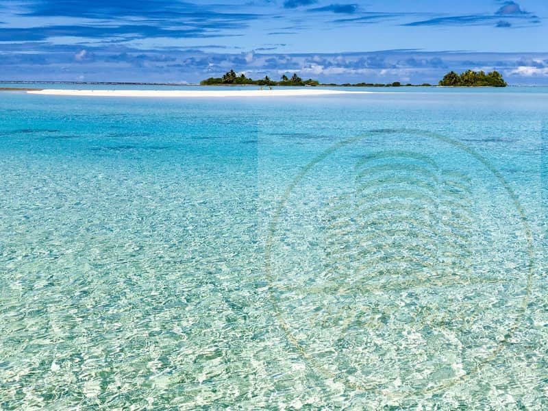 3 WhatsApp Image 2025-10-16 at 1.26. 03 PM. jpeg