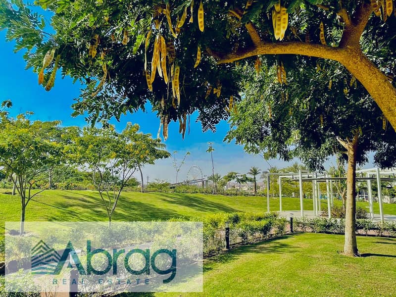 6 IMG-20241226-WA0209. jpg