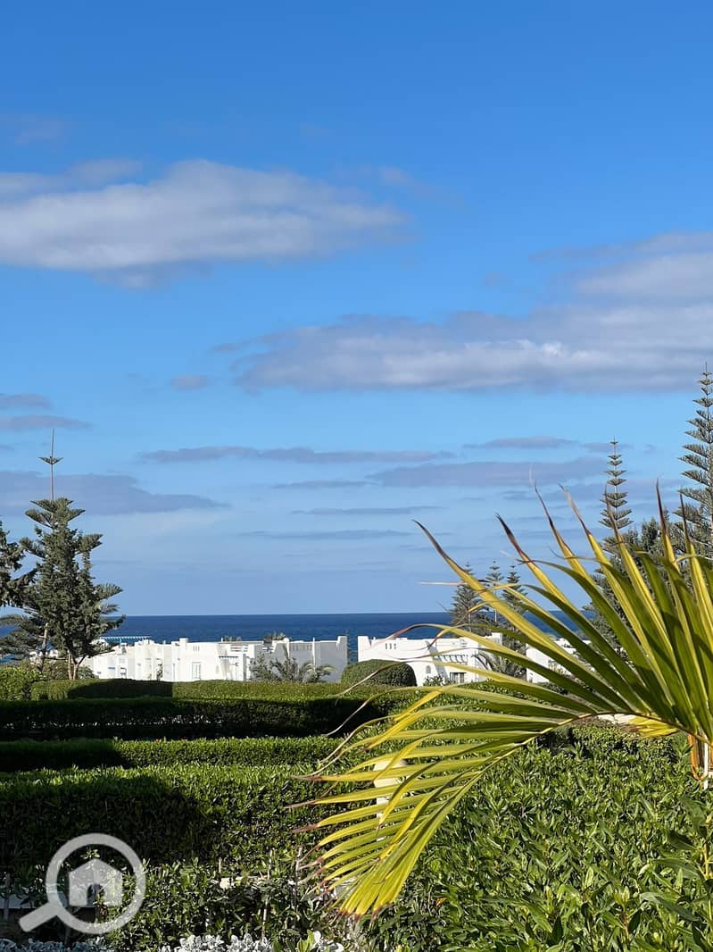 3 WhatsApp Image 2025-10-31 at 11.12. 17 PM (1). jpeg