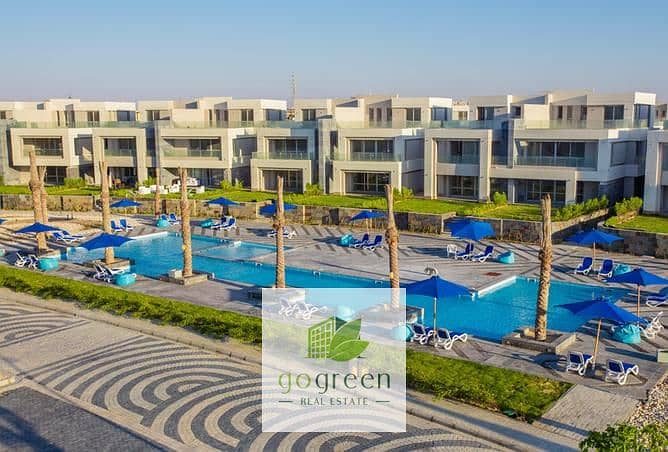 3 3247544-730deo. jpg