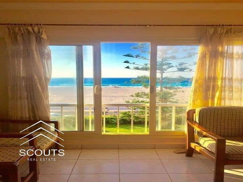 5 337010429_6195446347173698_5519143191919065985_n. jpg