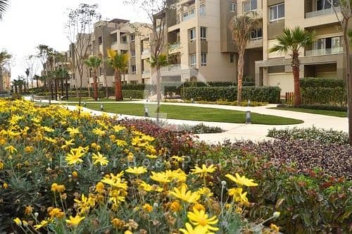 10 WhatsApp Image 2025-11-11 at 15.18. 19_33fbe48d. jpg