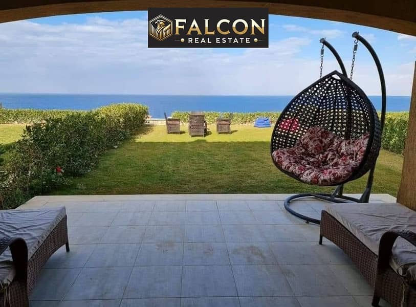 5983291285219427690. jpg