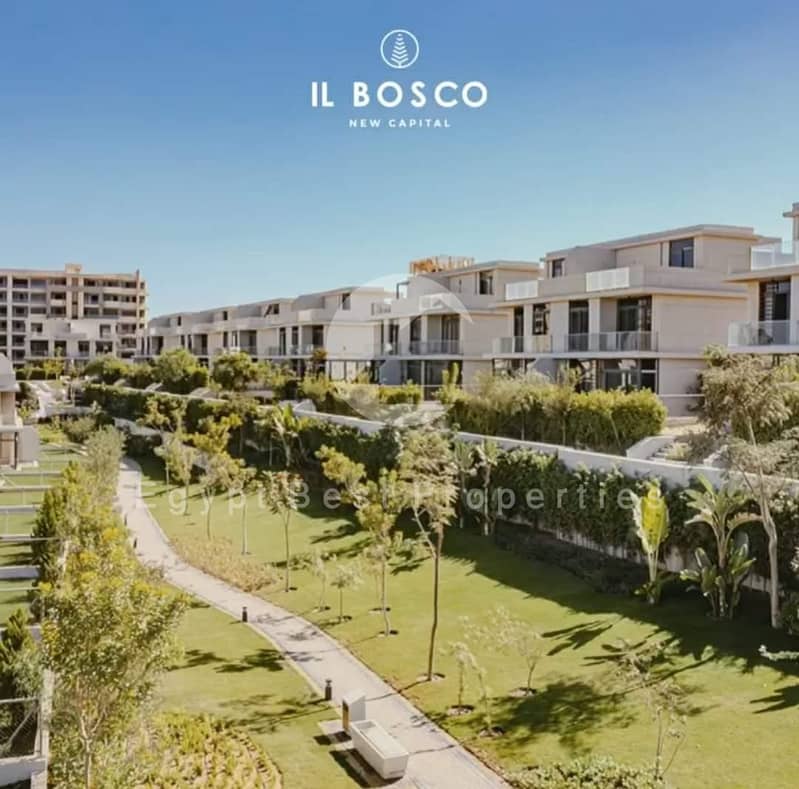 2 WhatsApp Image 2025-10-06 at 11.18. 07_4844fa90. jpg