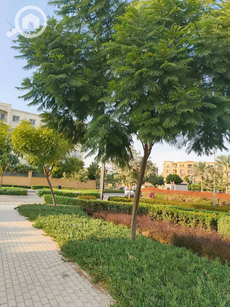 6 IMG-20251111-WA0022. jpg