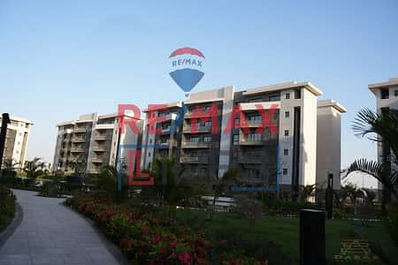 6 WhatsApp Image 2025-11-11 at 1.57. 06 AM. jpeg