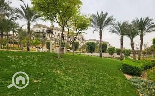 4 WhatsApp Image 2025-08-14 at 3.58. 54 AM. jpeg