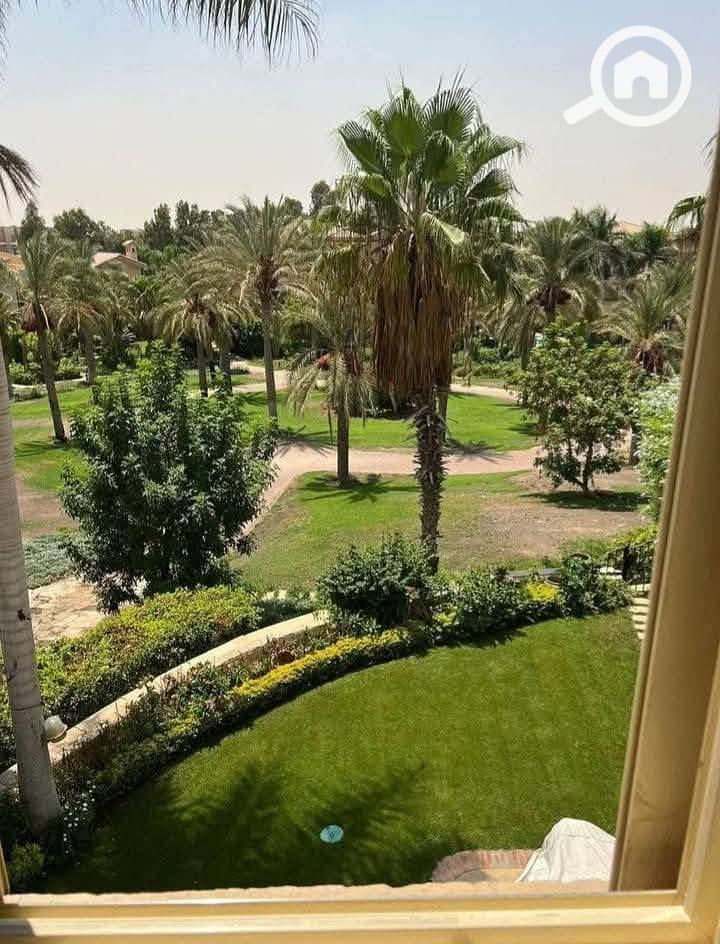 7 520221533_122203147286280112_8262445421511283260_n. jpg